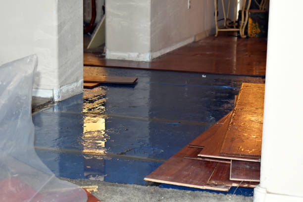 Professional Basement Water Removal technician working in Montgomery, IL